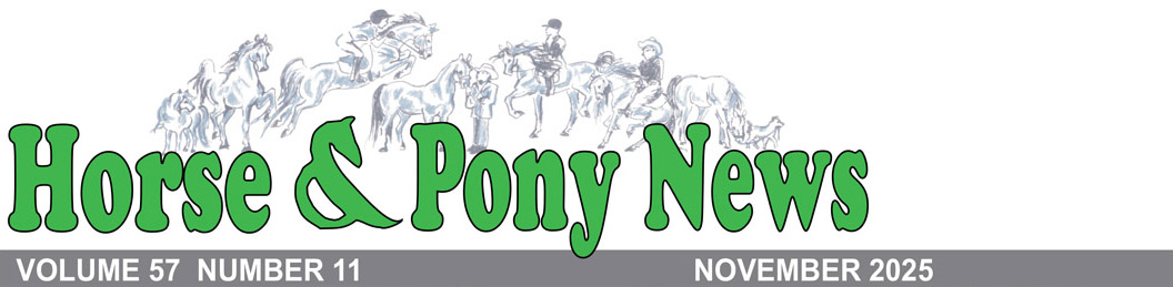 Horse & Pony News - Home